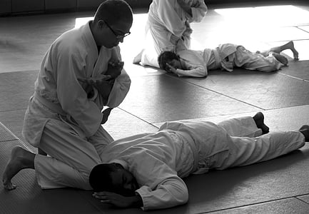 Aikido, martial arts, önvédelem, tanulás, szeminárium, senseis, képzés