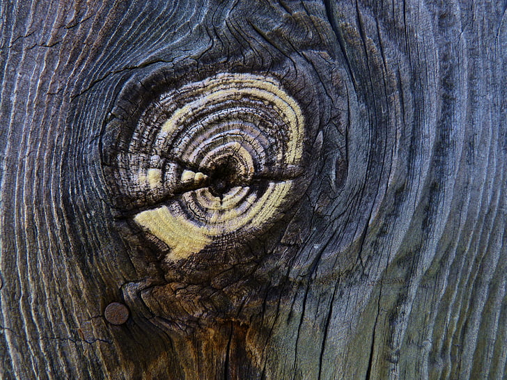 drevo, doska, uzol, koncentrické, staré, drevo - materiál, pozadia