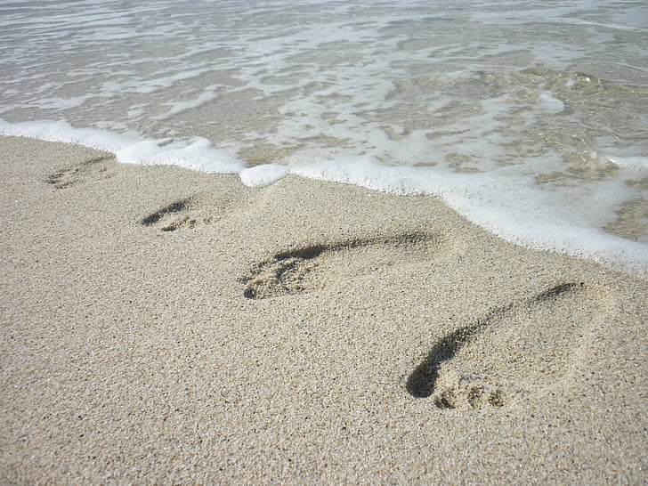 발자국, 젖은 모래, 비치, 여름, 바다, 휴가, 물