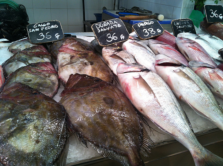 fish market, fish, food, market, sea animals, frisch, doraden