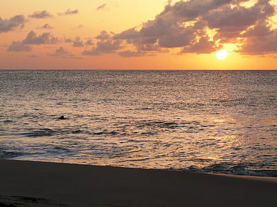 tramonto, d'oro, Caraibi, Vacanze, Vacanze, oceano, estate