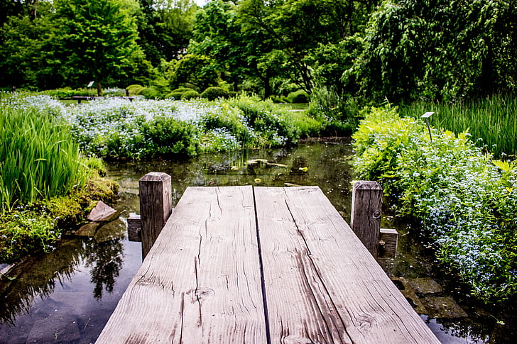 în aer liber, natura, vara, oameni, Parcul, verde, peisaj
