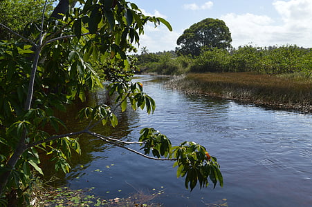 ในแม่น้ำ imbassaí, โซล, ธรรมชาติ, น้ำ, วันหยุด