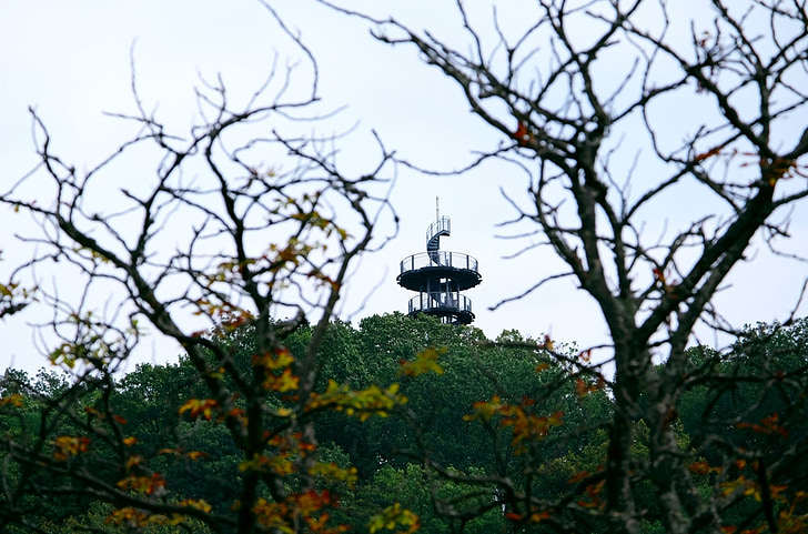 observation tower, observation post, outlook, distant, autumn, park, forest