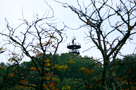 Torre de la observación, puesto de observación, Outlook, distante, otoño, Parque, bosque