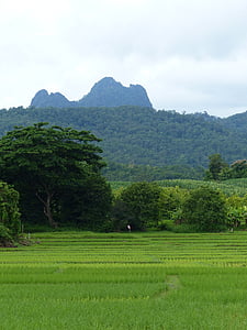 Дої Тао, Гора, Лампанг, Таїланд