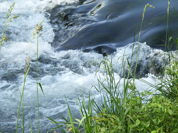 eau, rivière Grass, paysage, flux