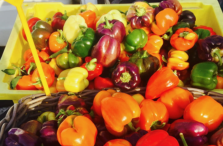 bondens marknad, lokala, ekologisk, producera, färgglada, grönsaker, vegetabiliska