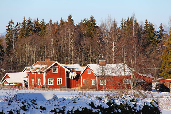 snö, vinter, kalla, Vacker, röd, traditionella, trä