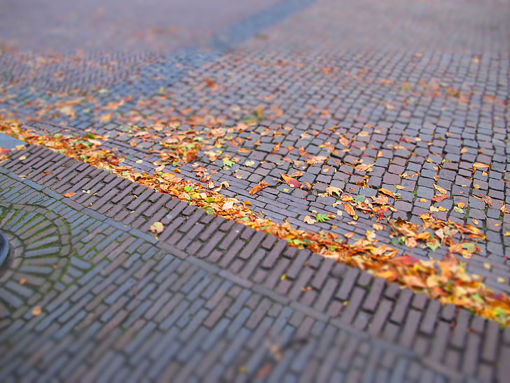 leaves, autumn, soil, golden autumn, yellow, cobble, street