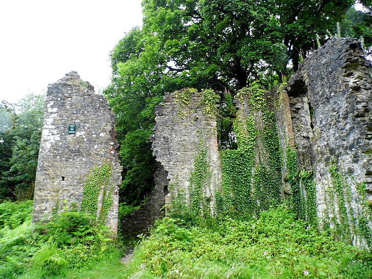 Castle, benőtt, romok, Ogmore-by-sea, Stone, Merthyr mawr, építészet