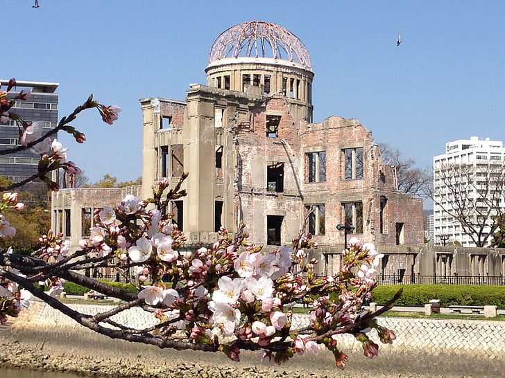Japon, Hiroshima, cerisiers en fleurs, Sakura, a-Bomb dome, paix, cerise