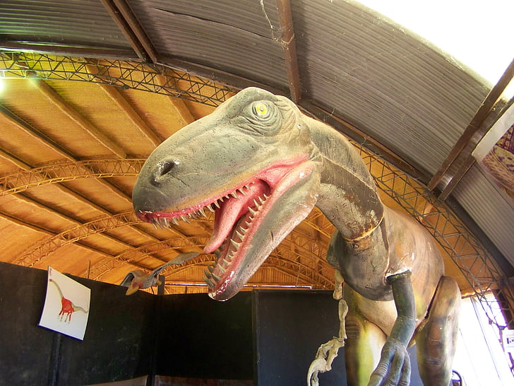 ไดโนเสาร์, ยาวซอรัส, tiranosaurio, rex, สัตว์, เอเชีย