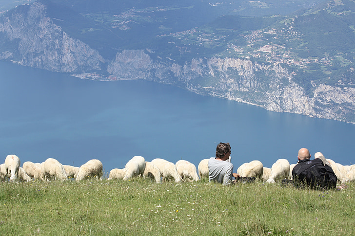 stádo ovcí, Monte baldo, Lago di Garda