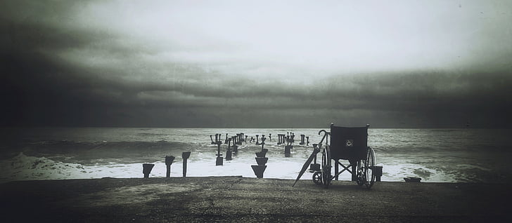 tons de cinza, foto, preto, cadeira de rodas, natureza, praia, Costa