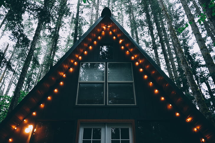 orange, string, lights, forest, house, tree, window