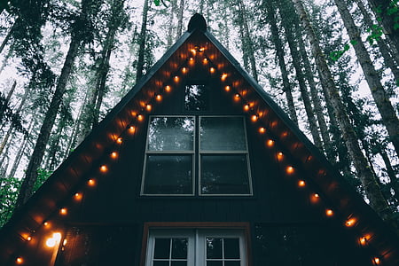 橙色, 字符串, 灯, 森林, 房子, 树, 窗口