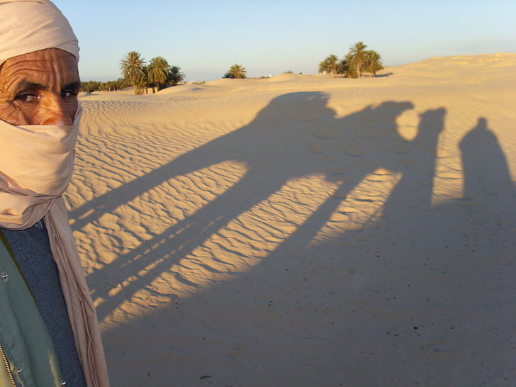 Tunisko, Desert, západ slnka, duny, siluety, pieskové duny, ťavy
