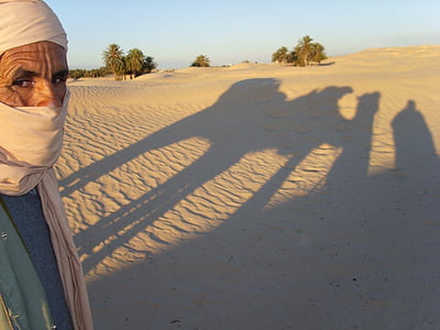 Tunesië, woestijn, zonsondergang, duinen, silhouetten, zandduinen, kamelen