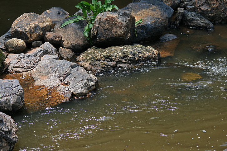 rocks in stream, stream, water, brook, spring, flowing, rocks
