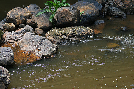 Vallende stenen in stream, Stream, water, Brook, lente, stroomt, rotsen