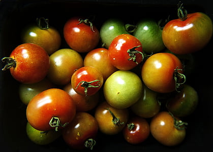 rajčata, ovoce, rajče, jídlo, zdravé, organický, vegetariánské