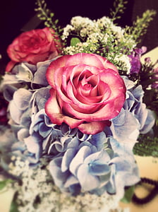 Rózsa, csokor, virágok, ajándék, anyák napja, Születésnap, virág