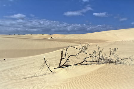 Dunes, pasir, matahari, pasir, gurun, alam, Pantai