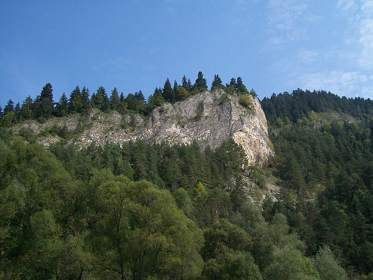 natuur, rotsen, Polen, bos, berg, boom, landschap