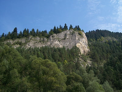 nature, rocks, poland, forest, mountain, tree, landscape