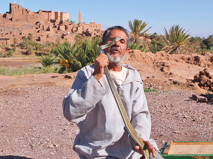 Maroko, dalang ular, perjalanan, desa, budaya, India, Laki-laki