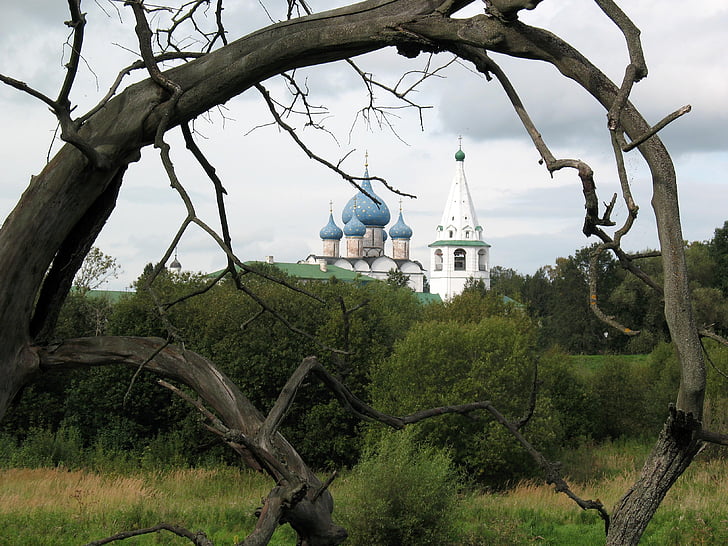 tempelet, kirke, Russland, Suzdal, Vera, landskapet, gren