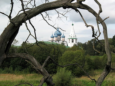 templet, kyrkan, Ryssland, Suzdal, Vera, landskap, gren