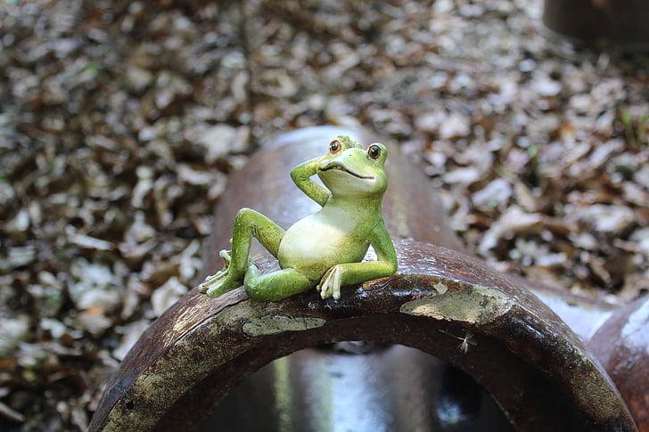 frog, green, figure, tube, funny, animal, amphibian