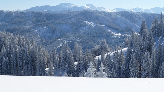 Allgäu, озеленена, Зима, снег, Солнце, холодная, Фрост