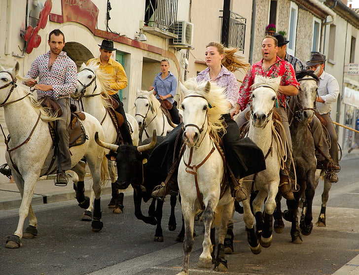 Camargue, Gardian, festa da aldeia, touros, cavalos, Feria, culturas