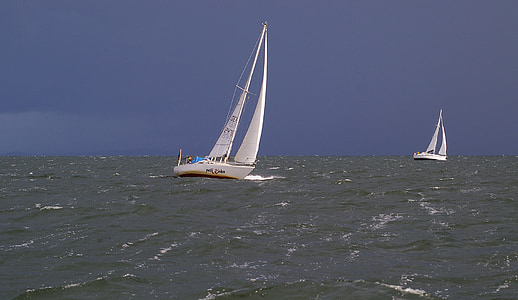 sailing vessel, sail, ship, sea, water sports, regatta, sailing boat