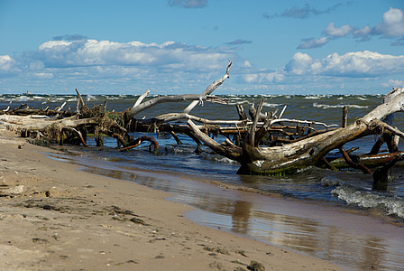 Letonia, cabo kolka, Driftwood, mar, Playa