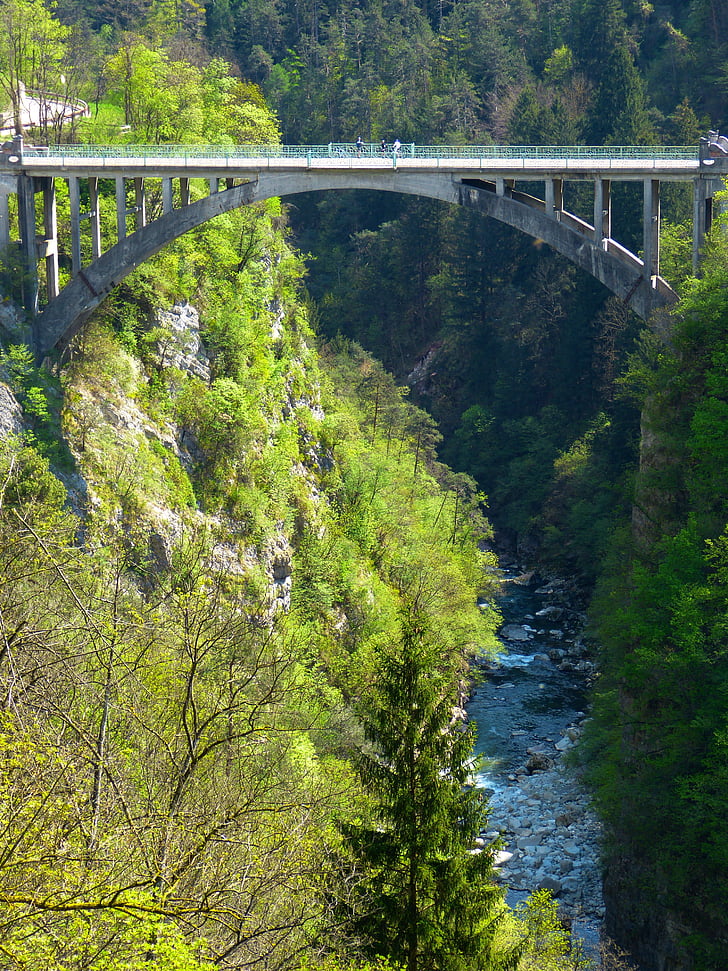bridge, high, dangerous, gorge, abyss, forest, nature