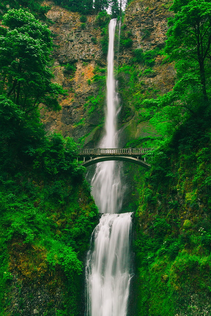 Multnomah falls, Oregon, Turismo, montagna, cascata, cascata, Ponte