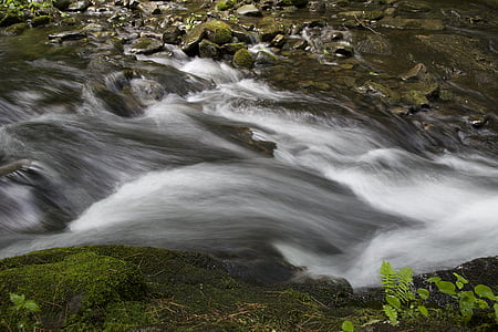 rask, natur, elven, steiner, Stream, vann