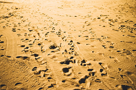 brun, sable, pied, photographie, plage, modèle, empreinte de pas