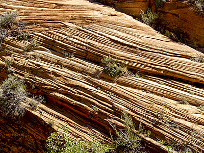 Zion nacionālais parks, Utah, ASV, klints, veidošanās, sarkana, erozijas