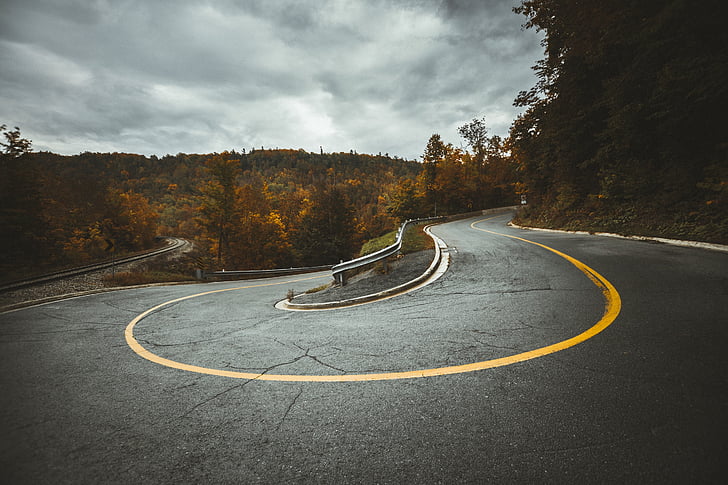 landscape, photography, ashpalt, road, curve, travel, trees