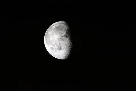 Lune, la moitié, clair de lune, lunaire, astronomie, céleste, espace