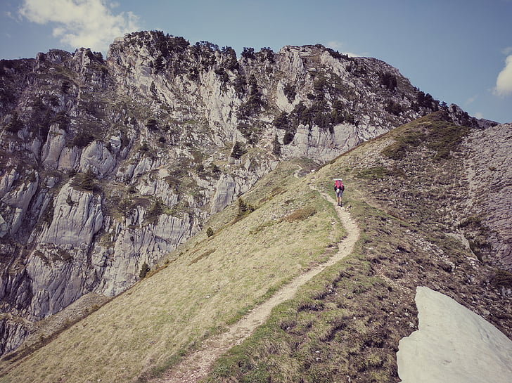 person, Top, Mountain, pathway, træ, alene, Grenoble
