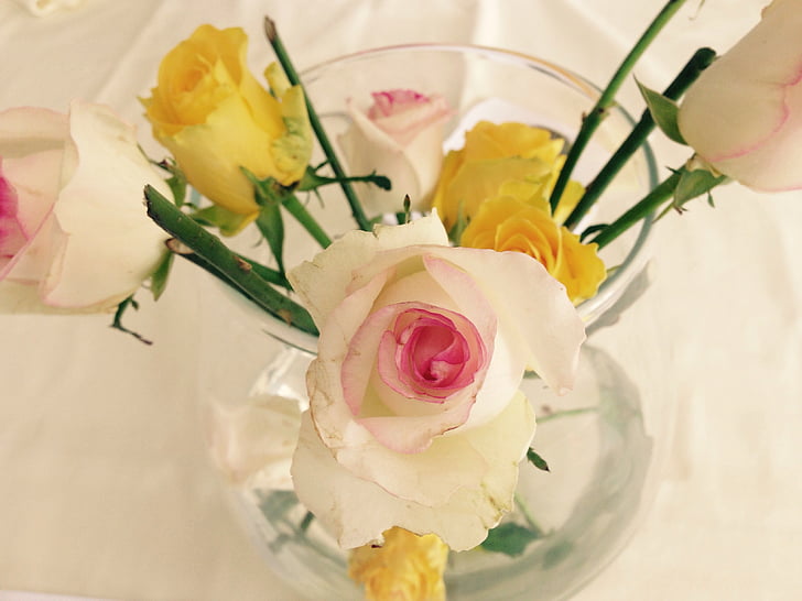Rose, fleurs, vase