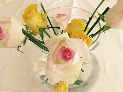 Rose, fleurs, vase