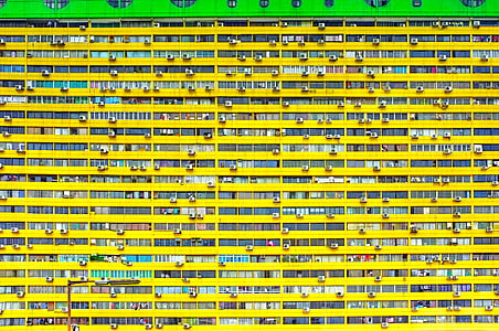 építészet, épület, sokemeletes, Windows, sárga, hátterek, zöld színű