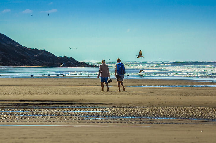 stranden, Ocean, måsar, en promenad, Romance, par, Wales